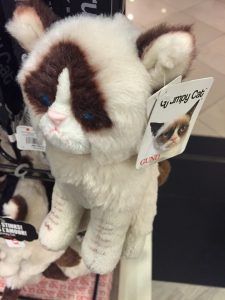 Grumpy Cat