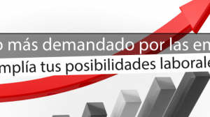Formacion Profesional mas demandada