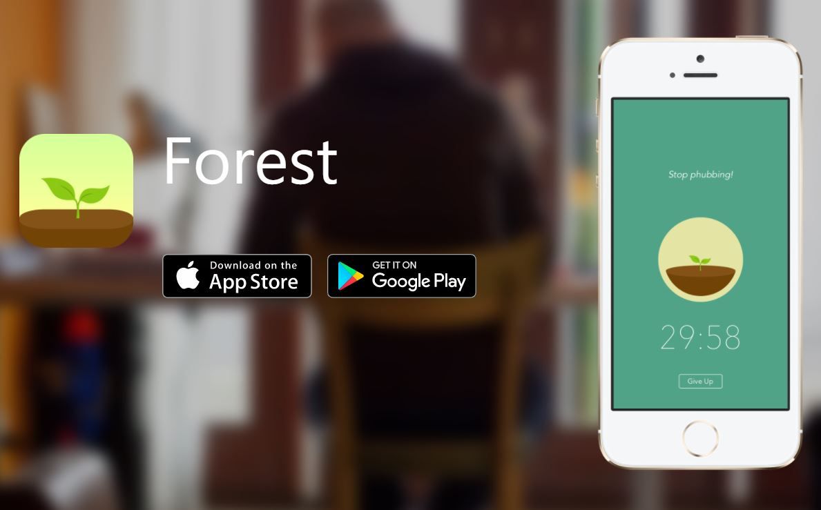 forest
