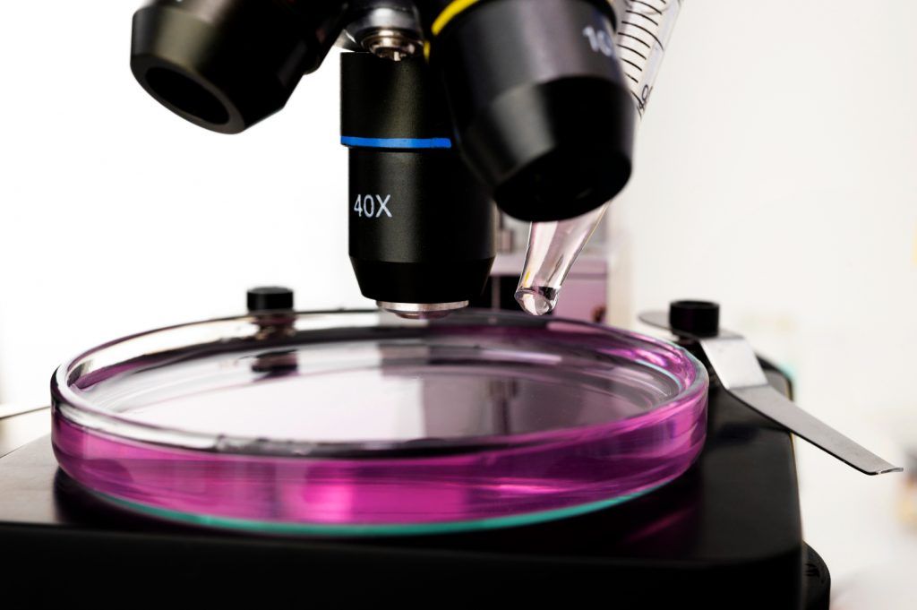 microscopio