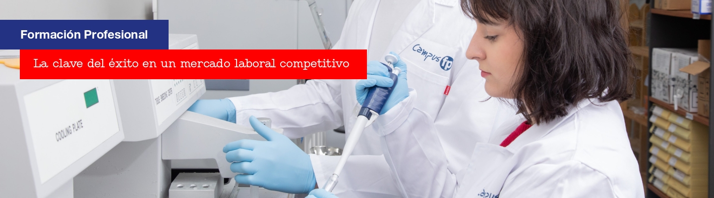 La clave del éxito en un mercado laboral competitivo