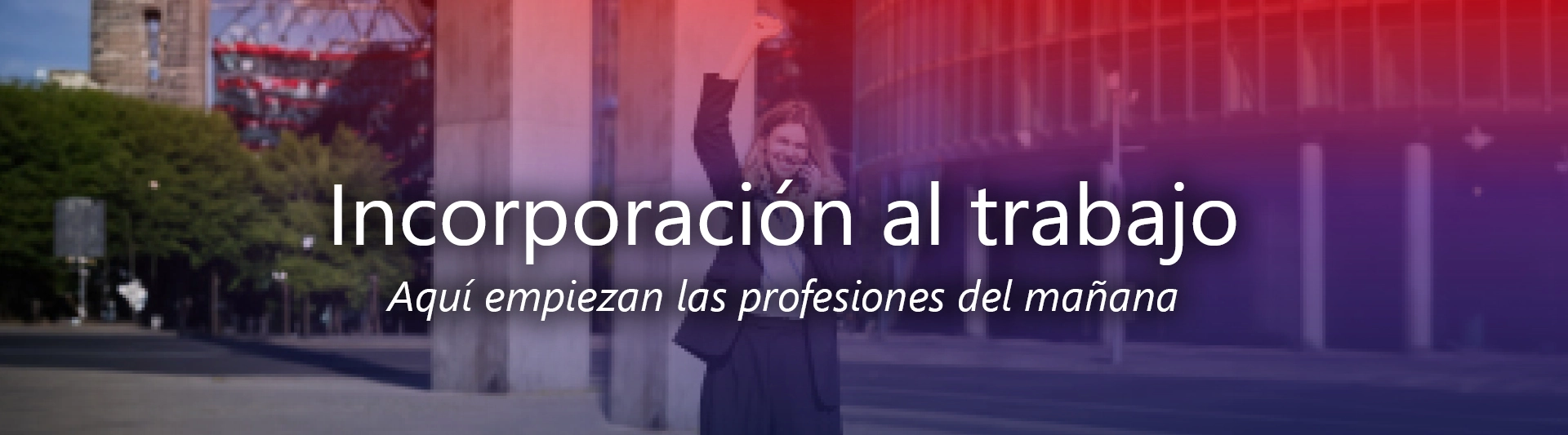 Inserción laboral