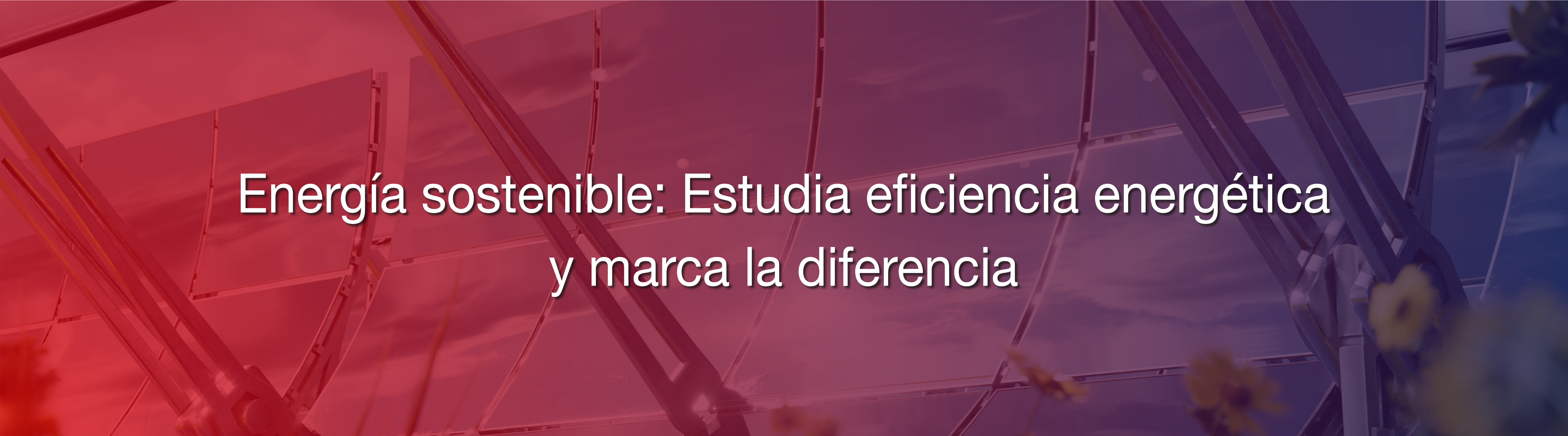 Energía sostenible: Estudia eficiencia energética y haz la diferencia